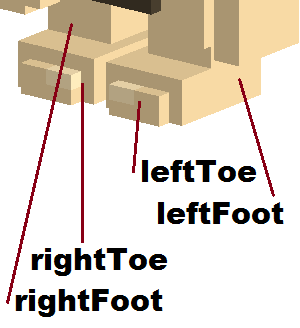 human_feet_parts_names